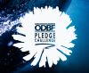 ODBF PLEDGE CHALLENGE 2024 RECIPIENTS